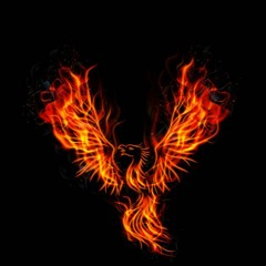Fenix