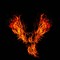 Fenix