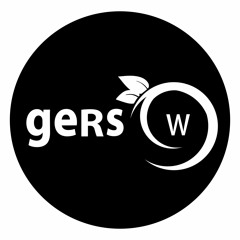 geRsw Agencia