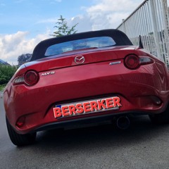 BERSERKER