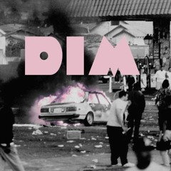 DiM