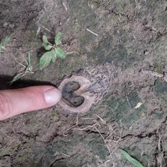 _________________________