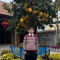Nguyễn Xộp