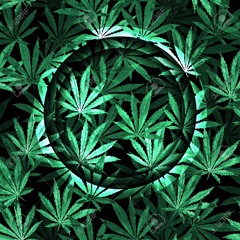 PaDdelMeIstEr [𝕺𝕸𝕽]