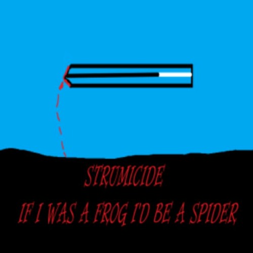 Strumicide’s avatar