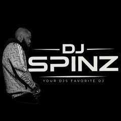 TheRealDjSpinz