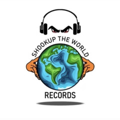 Shookuptheworld LLC Records