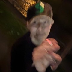 文猿