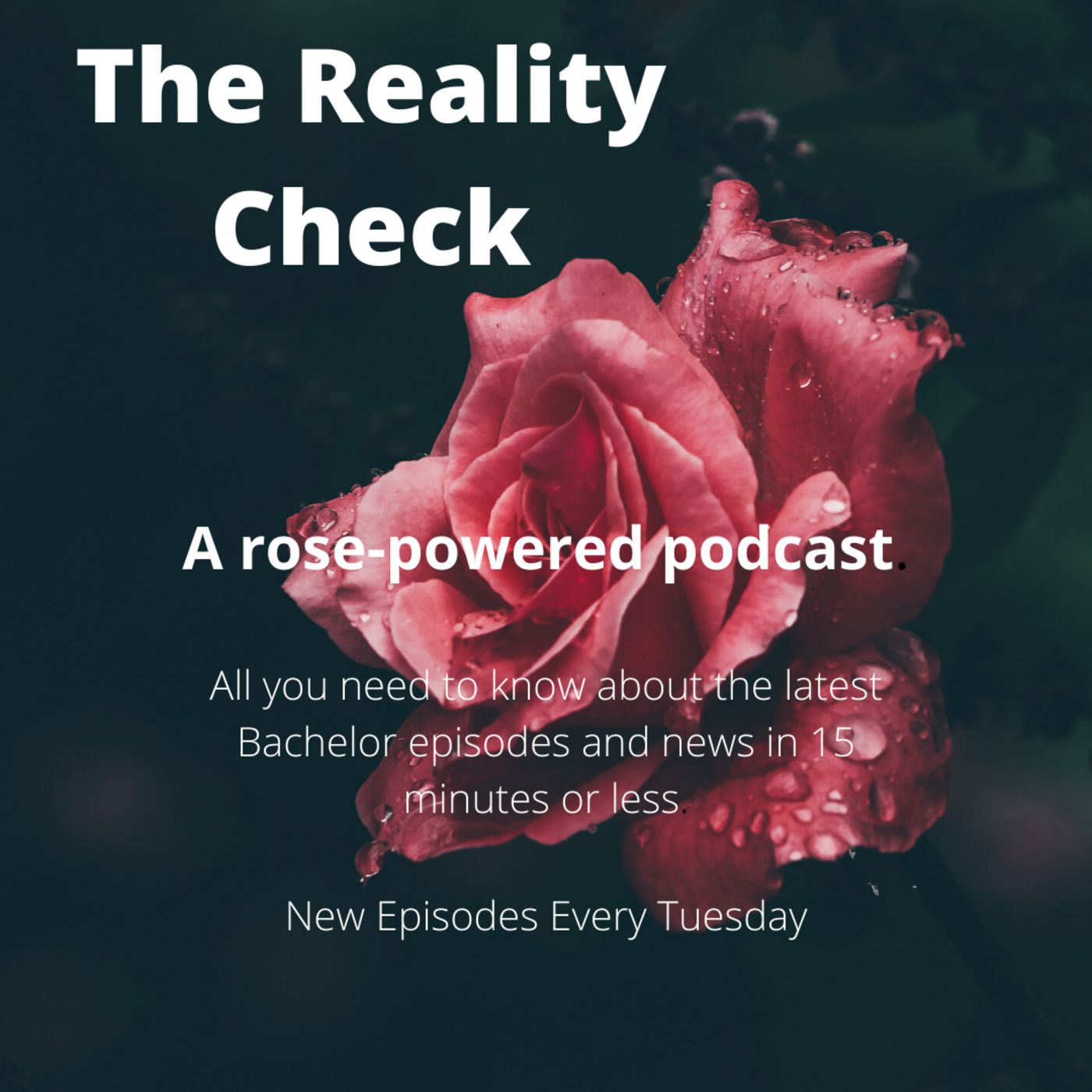 The Reality Check Podcast