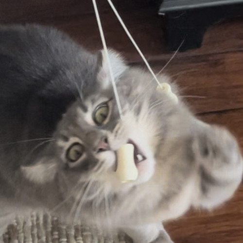 almond willow in air potato