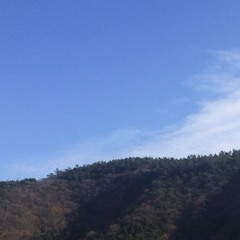 yozosura