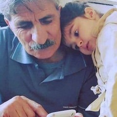 Ali Pashaei