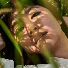 Saint-Saëns: Le Cygne