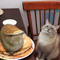 chaoticrunch