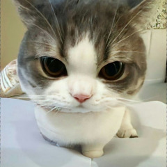 쭌느