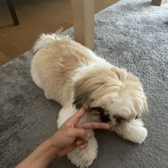 びび