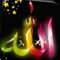الزهره البيضاء