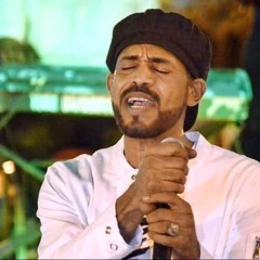 عا مر سنهوري