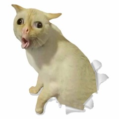 Kasti