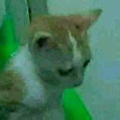 randomperson