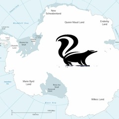 Skunk Antarctica