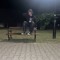 dinel_bnp