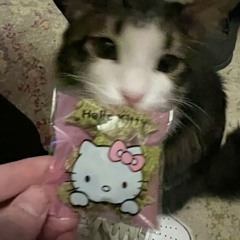 Cherry (∩˃o˂∩)♡