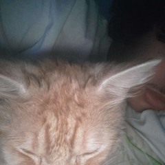 eljay