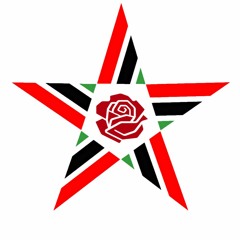 Revolutionary Despatches