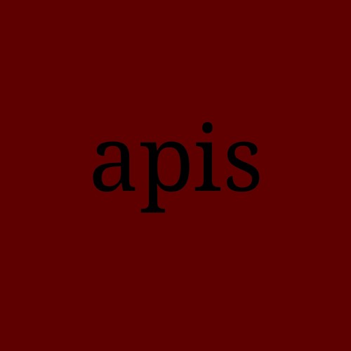 apis’s avatar