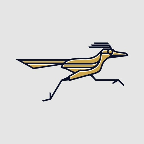 RoadRunner’s avatar