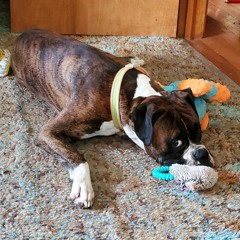 red hat orange juice ninety nine