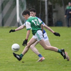 Odhrán leddy