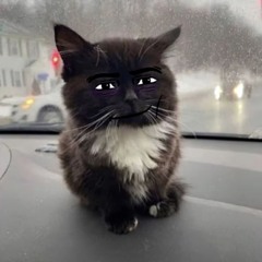 Ярик