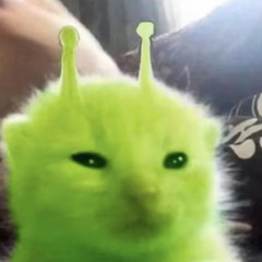 Buzyboi