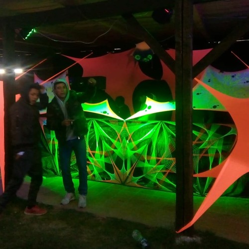 the magic of a dream fulfilled