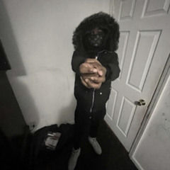 bandz flockem