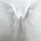 expirangel