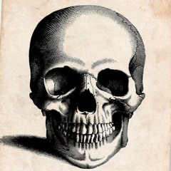 ɹǝʇɔɐɹɐɥƆ pɐᙠ