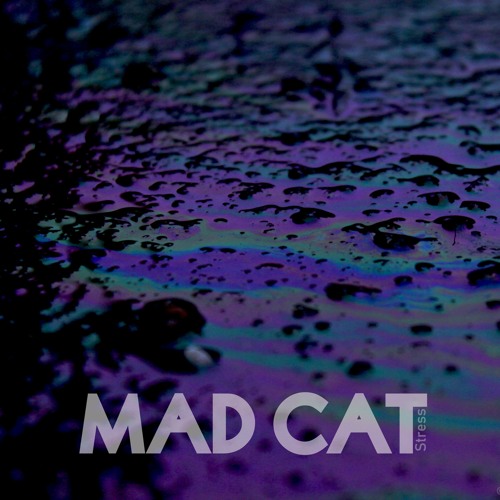 MAD_CAT’s avatar