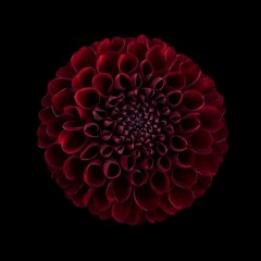 DSH -  Tenerife's Finest Techno Radio Show.