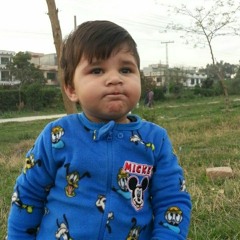 Fayyaz Khan