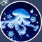 ~jellyfish~