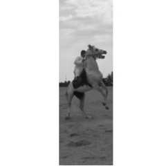 مساعد السعيدي