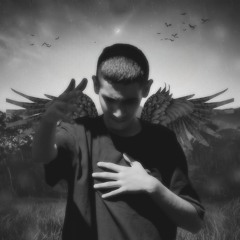 Morteza Manesh