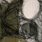 Wilson Flores