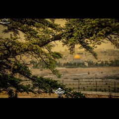 علياء ياسر