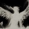the fallen angel