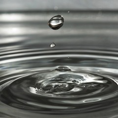 Soya.G