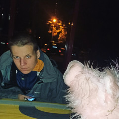 Владимир Ведмедь